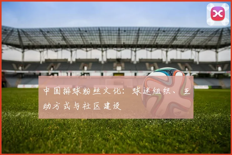 中国排球粉丝文化：球迷组织、互动方式与社区建设