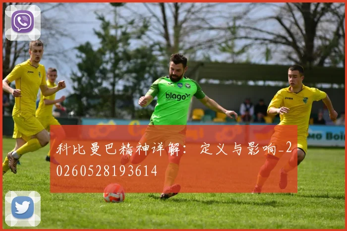 科比曼巴精神详解：定义与影响_20260528193614